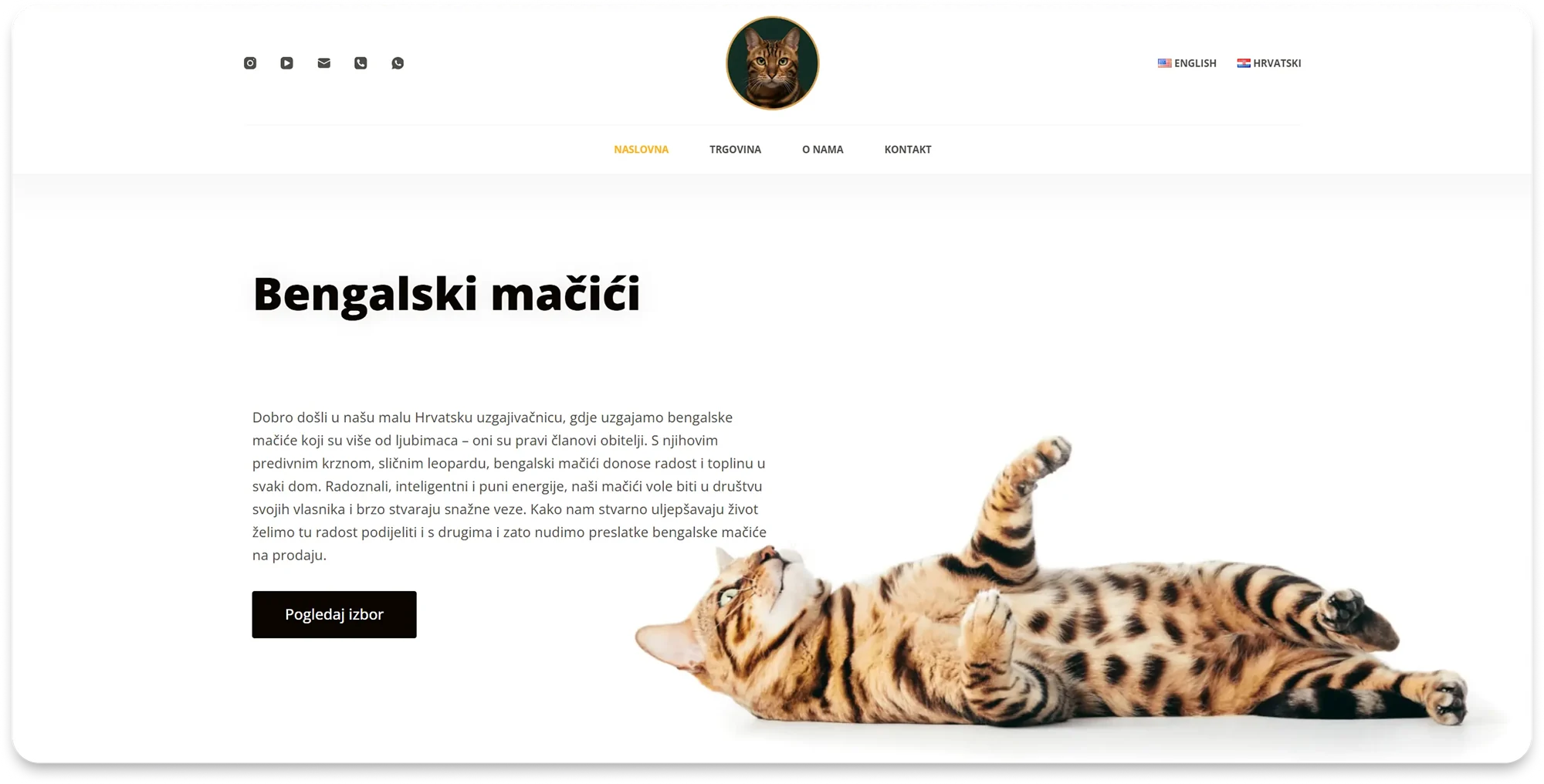 Izrada dvojezičnog webshopa i SEO – Cat Bengal